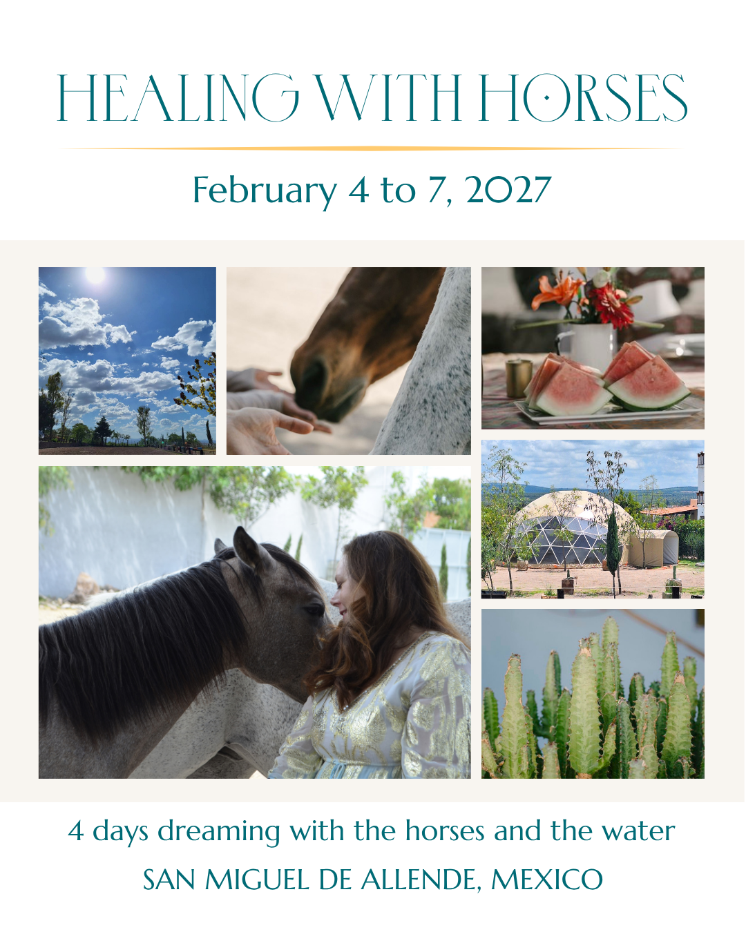 Healing with Horses Retreat
