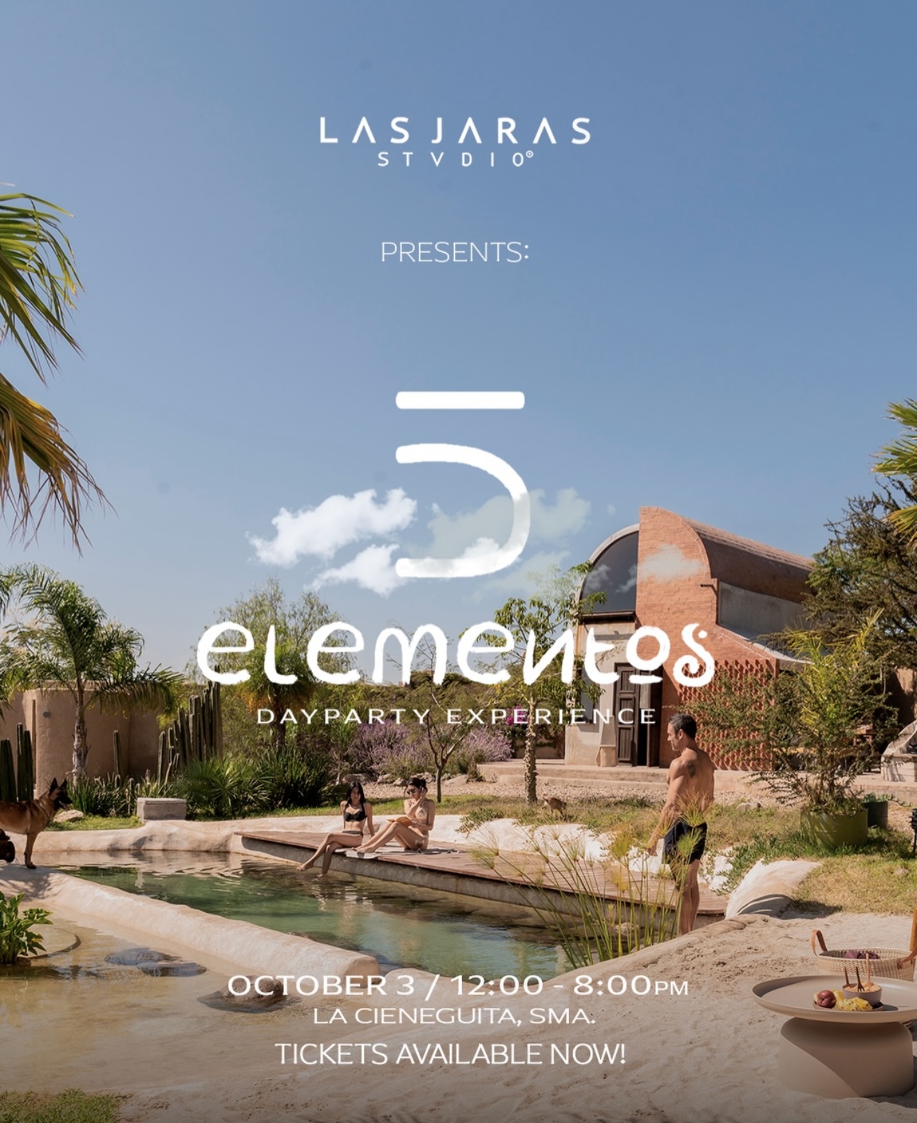 5 elementos DAYPARTY EXPERIENCE