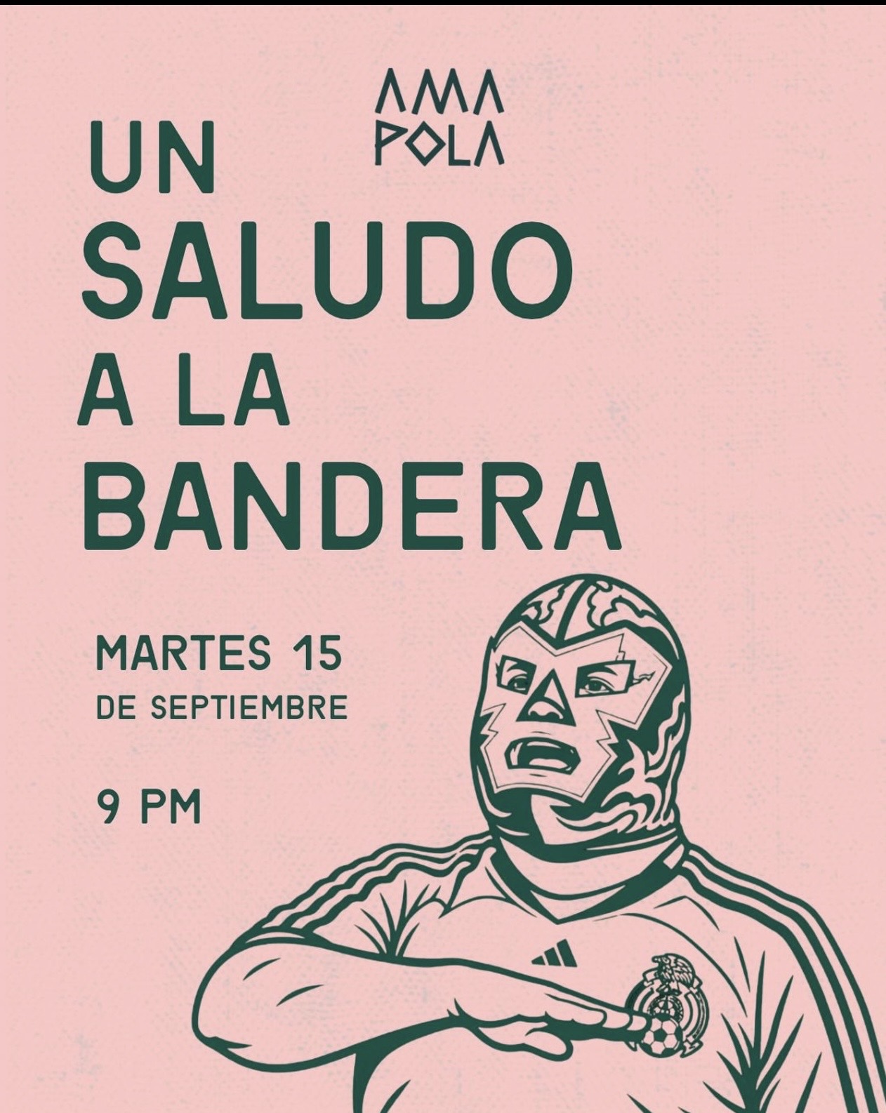 UN SALUDO A LA BANDERA