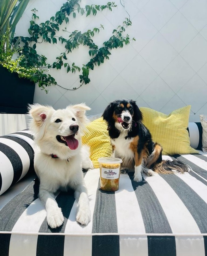 DoggyStyle Fresh Dog Food